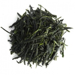 Gyokuro Minori Bio, Nr.137