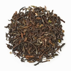 Darjeeling Muscatel Bio, Nr.93